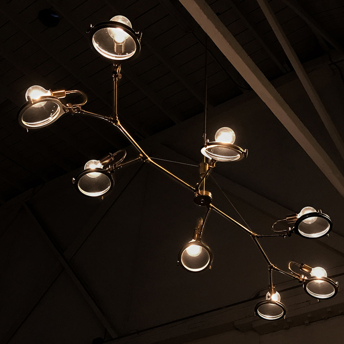 "Brachiated Lens" Chandelier by Neptune Glasswork